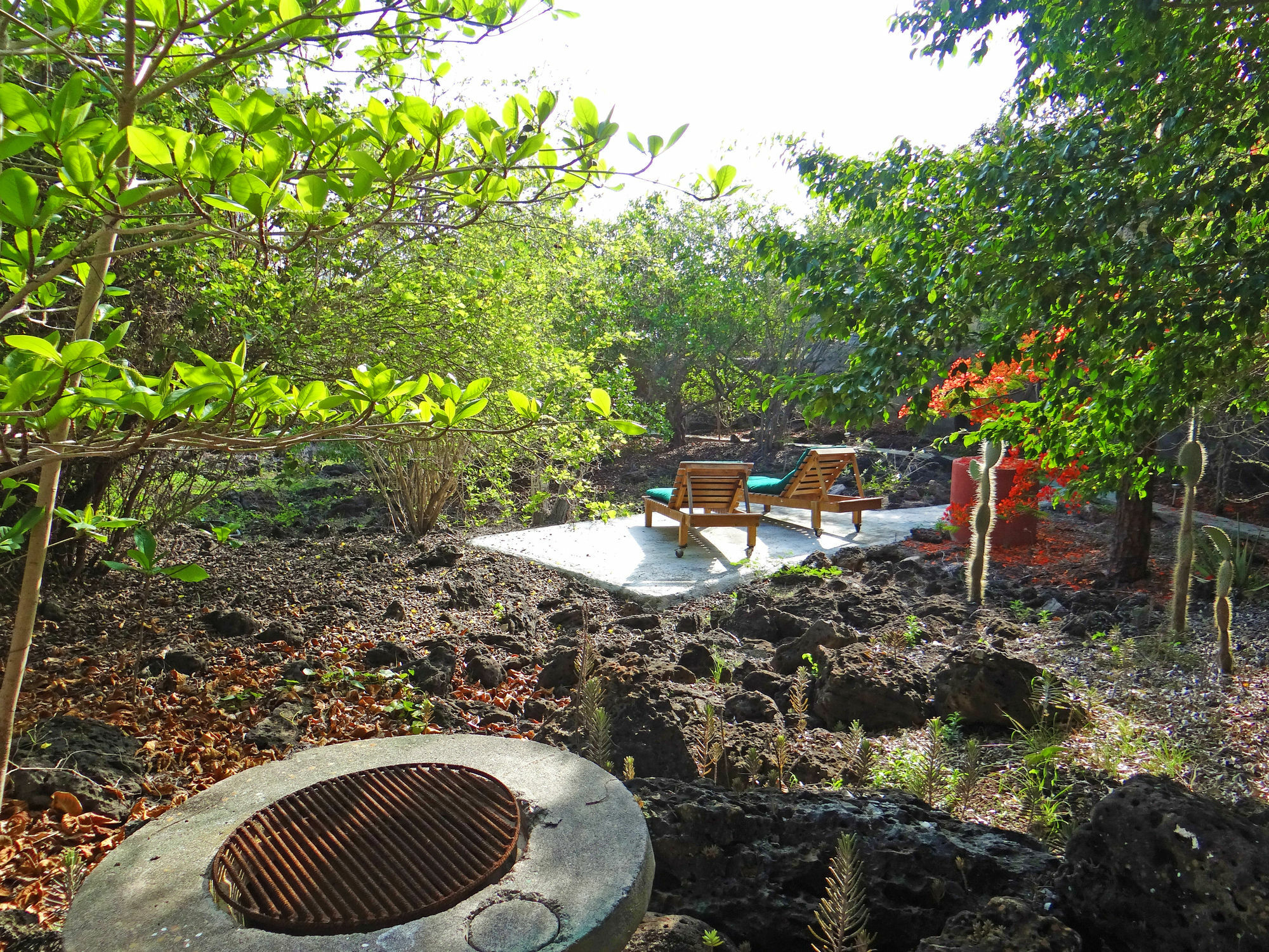 Galapagos Chalet Puerto Ayora  Zewnętrze zdjęcie